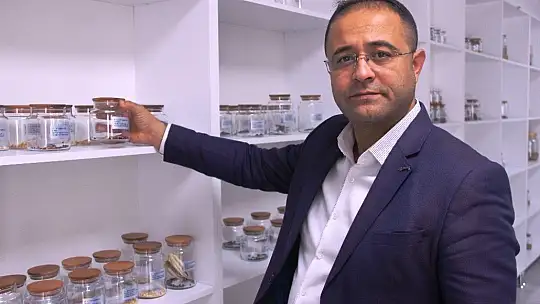 Altından bile değerli 7 bin yıllık tohumlar, Bodrum'da başak verecek