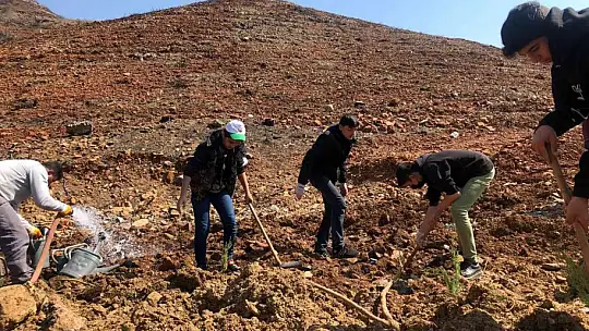 Anadolu İmam Hatip Lisesi öğrencileri fidan dikti