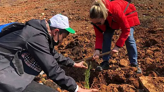 Anadolu İmam Hatip Lisesi öğrencileri fidan dikti