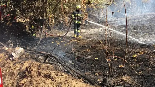 ANIZ YANGINI BÜYÜMEDEN SÖNDÜRÜLDÜ