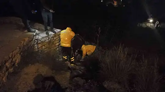 Arabaya çarpıp uçurumdan yuvarladı