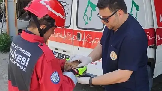 Aracın motor kısmına sıkışan kediyi itfaiye kurtardı