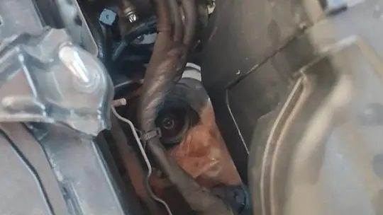 Aracın motor kısmına sıkışan kediyi itfaiye kurtardı