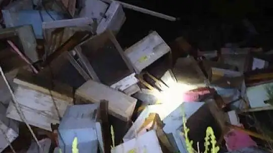 Arı kovanı taşıyan kamyonet devrildi: 2 yaralı