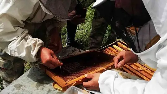 Arıcılara Apiterapik ürün eğitimi