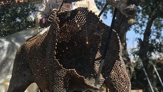 Aslan heykelini Galatasaray - Barcelona maçına yetiştirdiler