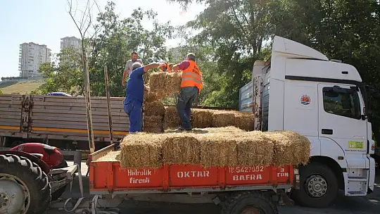 Atakum'dan Antalya ve Muğla'ya dayanışma köprüsü