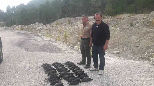 AV KORUMA ÇALIŞMALARI DEVAM EDİYOR