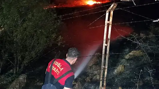 alevler geceyi aydınlattı