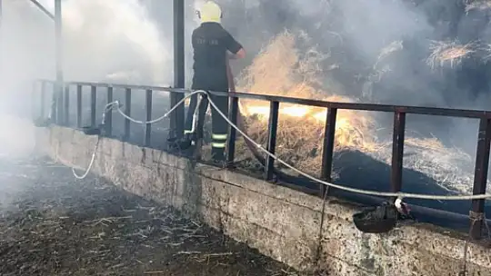 Çıkan Yangında 2 Büyükbaş Hayvan Telef Oldu