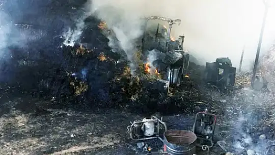 Çıkan Yangında 2 Büyükbaş Hayvan Telef Oldu