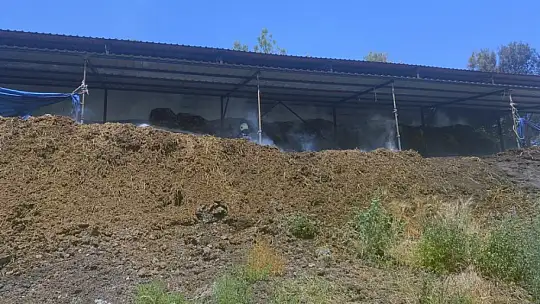 Çıkan Yangında 2 Büyükbaş Hayvan Telef Oldu