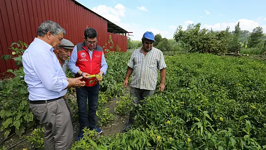 Dolu Olayında Zarar 1 Milyon 617 Bin TL