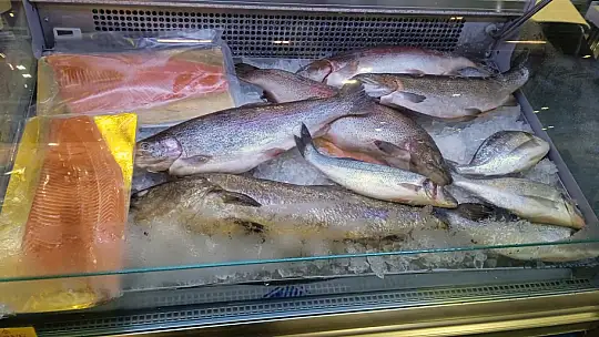 Muğla'dan 84 ülkeye su ürünleri ihracatı