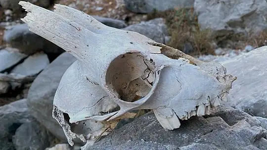 Dağcılık Kulübü Üyelerini Hayrete Düşüren Avcı Kulübesi
