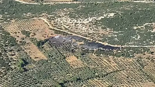 Makilik yangını ormana sıçramadan söndürüldü