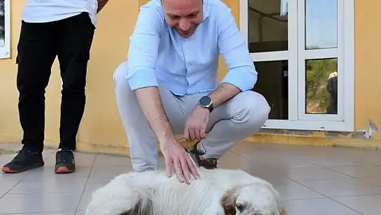 Hayvan hakları için Milas Kaymakamı Böke sahada