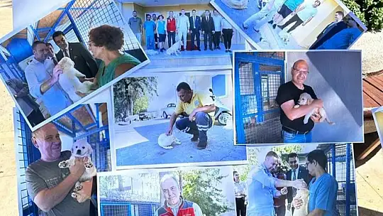 Sokak Hayvanları İçin Bir Araya Geldiler