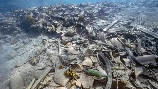 Deniz dibi temizliğinde, deniz motoru bulundu