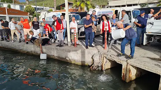 Deniz dibi'nin temizliği yapıldı
