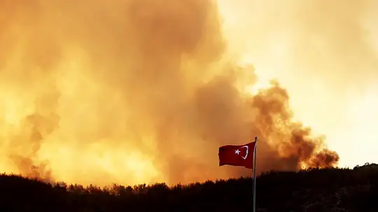 405 hektar ormanlık alan yandı