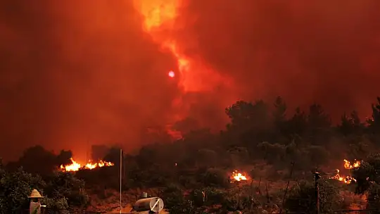 405 hektar ormanlık alan yandı