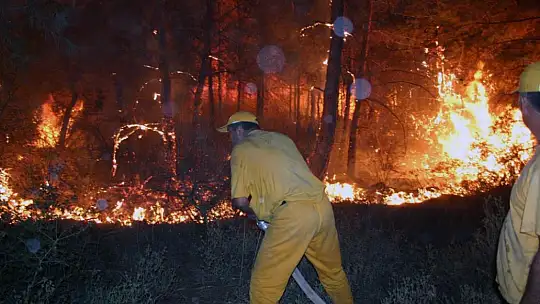 405 hektar ormanlık alan yandı