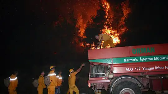 405 hektar ormanlık alan yandı