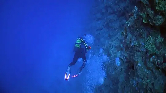 Denizlerde korkutan sıcaklık artışı