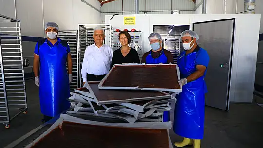 Meyve Sebze Kurutma Tesisi İle Dört Mevsim Üretim