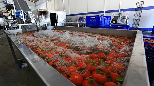 Meyve Sebze Kurutma Tesisi İle Dört Mevsim Üretim