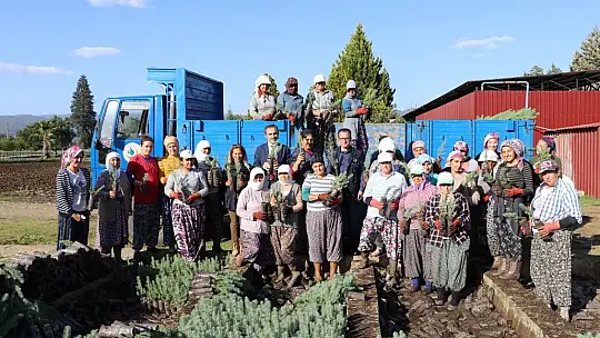 Muğla OBM'de 9,8 Milyon Fidan Üretildi