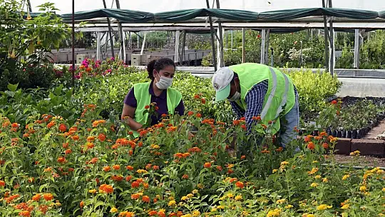 Muğla OBM'de 9,8 Milyon Fidan Üretildi