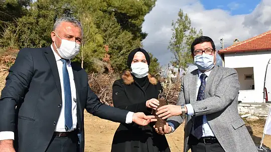 80 Bin Lavanta Toprakla Buluştu