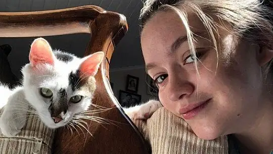 Sahipli kediyi havalı tüfek ile vurdular