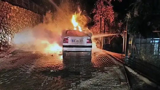 Köyceğiz'de araç yangını