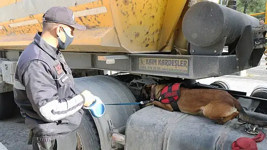 Jandarma 249 litre sahte alkol ele geçirdi
