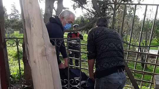 Yavruları olan köpek tüfekle vurularak öldürüldü