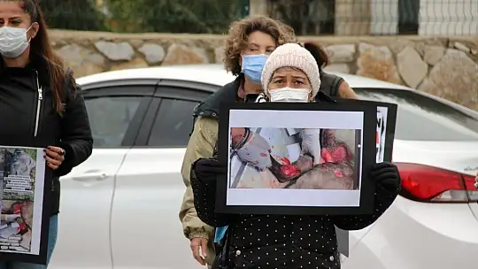 'Chapo için adalet' eylemi