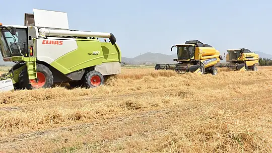 Muğla'nın tarımsal değeri 10 milyar tl