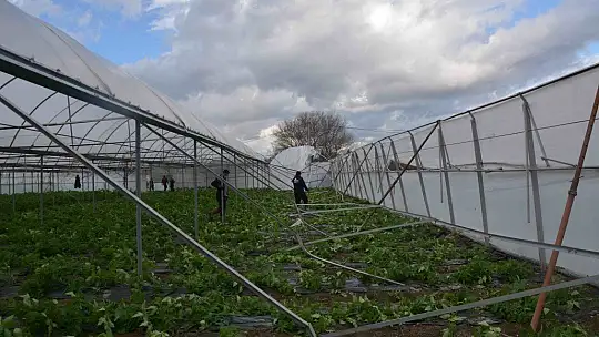 Ortaca'da fırtına seralara zarar verdi