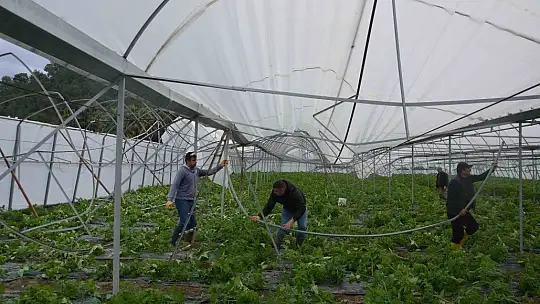 Ortaca'da fırtına seralara zarar verdi