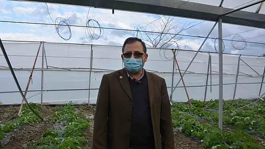 Ortaca'da fırtına seralara zarar verdi