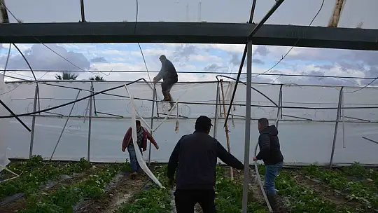 Ortaca'da fırtına seralara zarar verdi