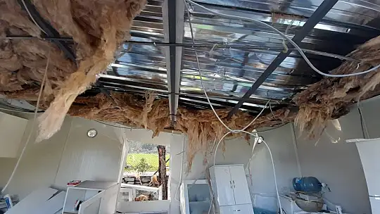 Marmaris'teki fırtınadan en çok Çiftlik Koyu zarar gördü