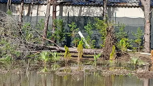 Marmaris'teki fırtınadan en çok Çiftlik Koyu zarar gördü