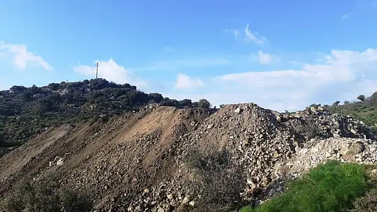 Bodrum'da çevre katliamı durdurulamıyor