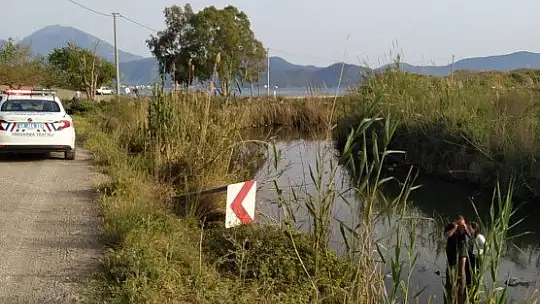 Dereye düşen otomobilin üstüne çıkarak yardım istediler