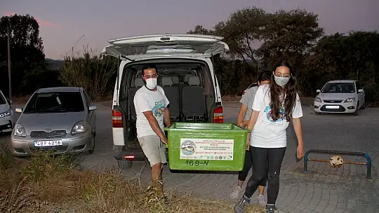 Tedavisi tamamlanan caretta caretta denize bırakıldı