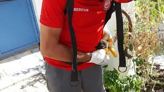 Su kuyusuna düşen yavru kedi kurtarıldı